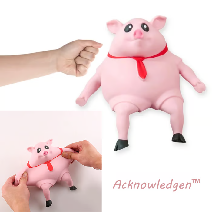 🔥Piggy Squeeze Toy | Acknowledgen