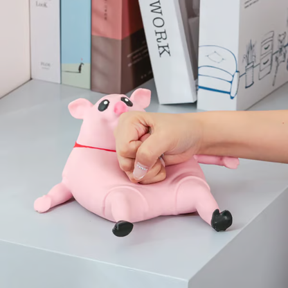 🔥Piggy Squeeze Toy | Acknowledgen