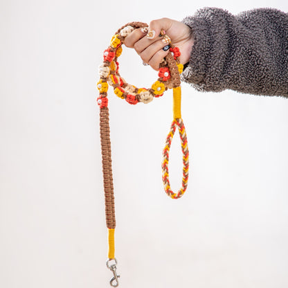 Hand woven pet leash and harness